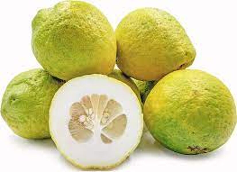 BIO CEDRO (milzu citroni), 1 kg